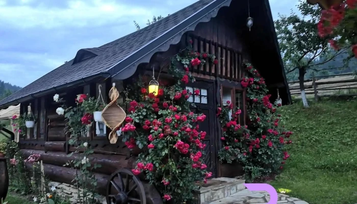 Casa Gabriel -  Exterior - Dragoșa