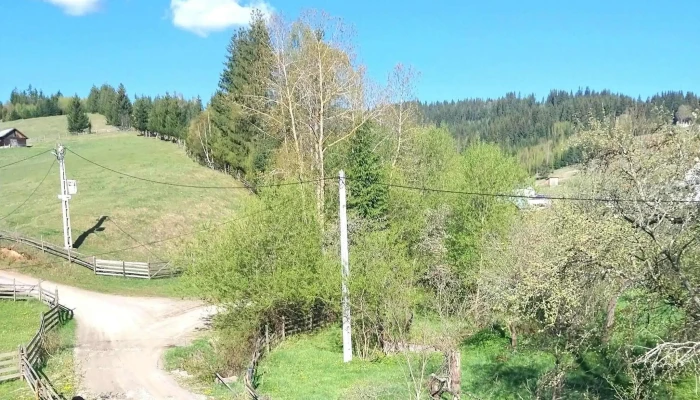 Casa Gramy -  Fotografii - Neagra Șarului