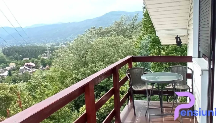 Casa Irina -  De La Vizitatori - Pângarați