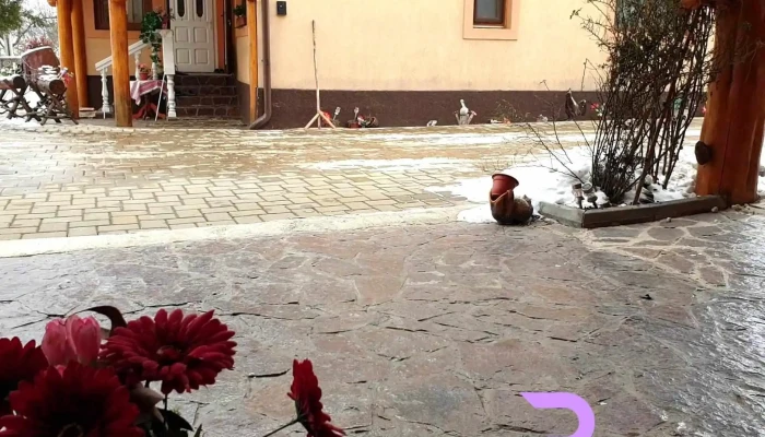 Casa Irinuca -  Videoclipuri - Sadova