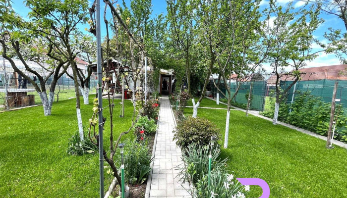 Casa Iris Petresti -  Program - Petrești