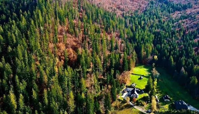 Casa Malina Reduceri - Suceava
