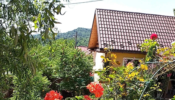 Casa Marin -  Reduceri - Prahova