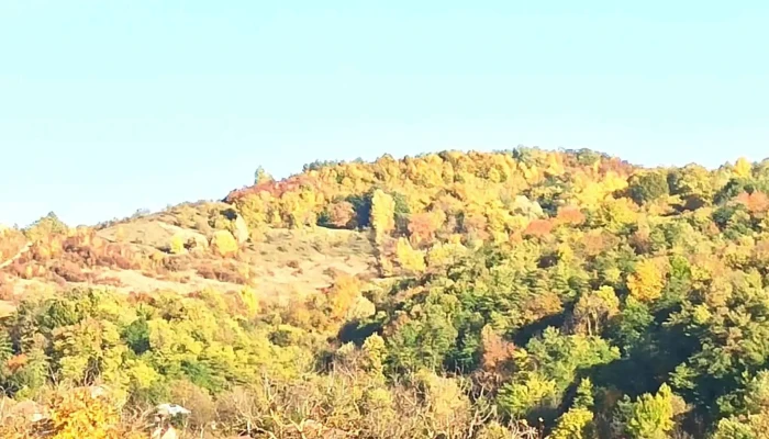 Casa Marin -  Scor - Prahova