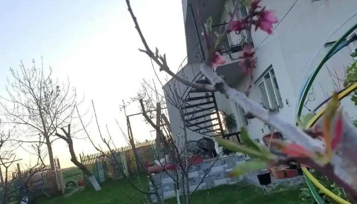 Casa Morena Tuzla -  De La Proprietar - Constanța