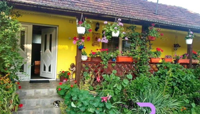 Casa Otilia -  Cabana - Hațeg