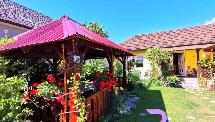 Casa Otilia -  Exterior - Hațeg