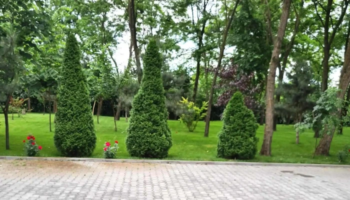 Casa Padurarului -  Instagram - Liești