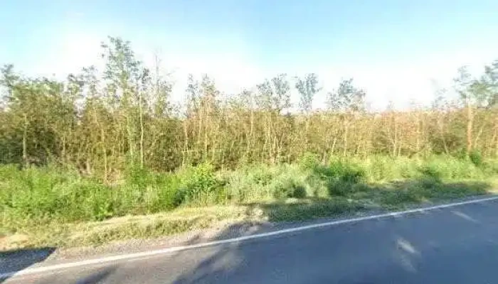 Casa Padurarului -  Street View Si 360deg - Liești