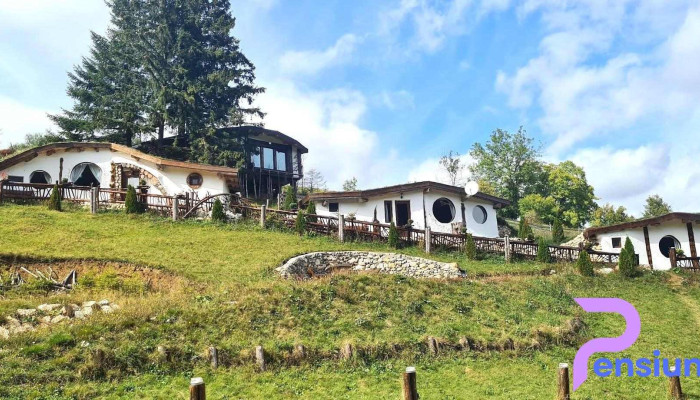Casa Plai Cu Dor -  De La Vizitatori - Fundata