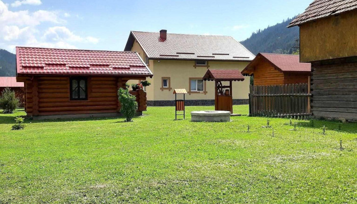 Casa Prundari Nicu Mirela Exterior - Poiana Teiului