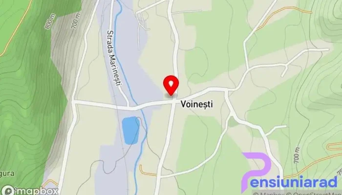 hartă a Casa RIM Vilă în Voinești