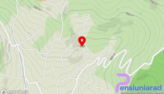 hartă a Casa Savu Vilă în Secăria