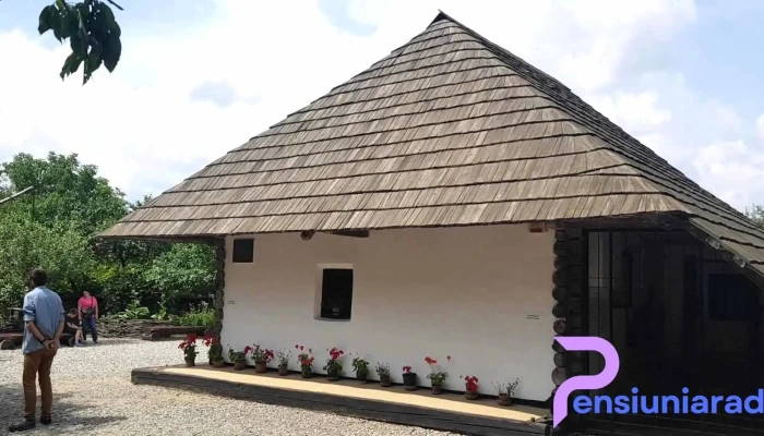 Casa Si Muzeul Memorial Ion Creanga Din Humulesti Videoclipuri - Târgu Neamț
