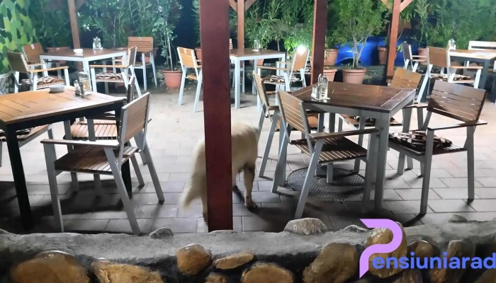 Casa Simy -  Atmosfera - Petrești