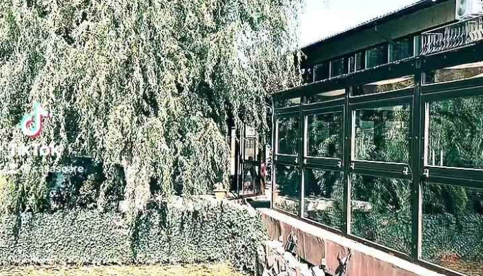 Casa Soare -    Clubul Pescarilor Bucov De La Proprietar - Bucov