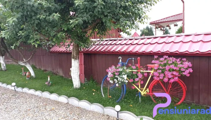 Casa Sofia Dorna Candrenilor -  De La Vizitatori - Dorna Candrenilor