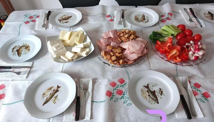 Casa Sonia -  Mancaruribauturi - Băcia