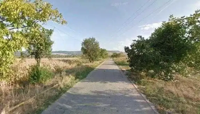 Casa Sonia -  Street View Si 360deg - Băcia