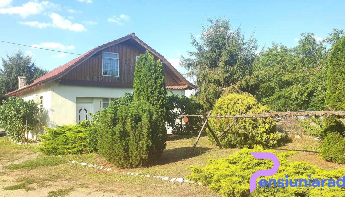 Casa Termal Sofronea -  Cabana - Șofronea