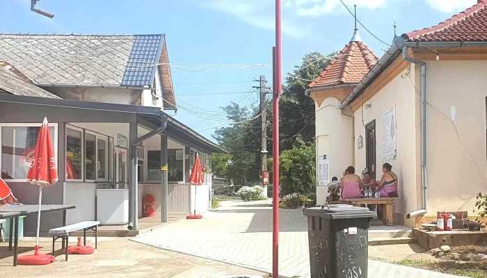 Casa Termal Sofronea -  Site Web - Șofronea