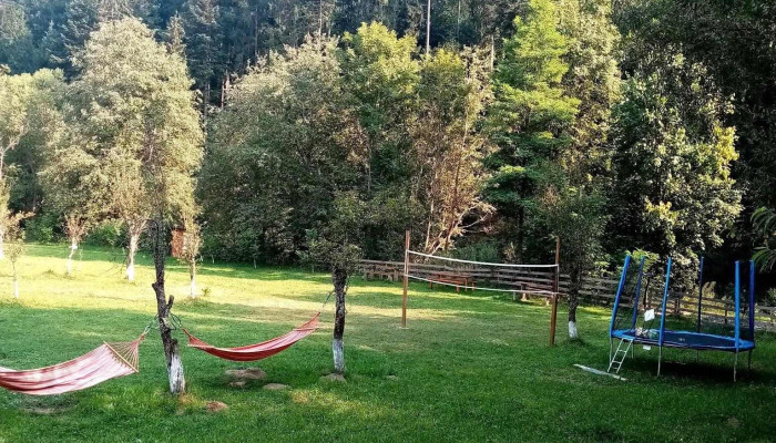 Casa Ursului -  De La Proprietar - Vadu Moților
