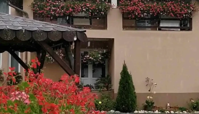 Casa Ursului -  Videoclipuri - Vadu Moților
