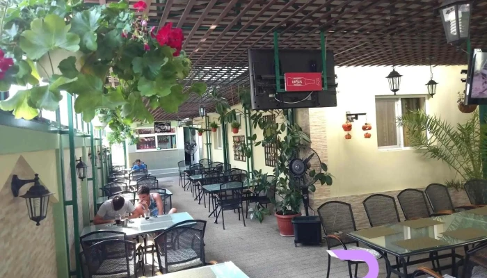 Casa Verde -    Restaurant Cazare Atmosfera - Videle