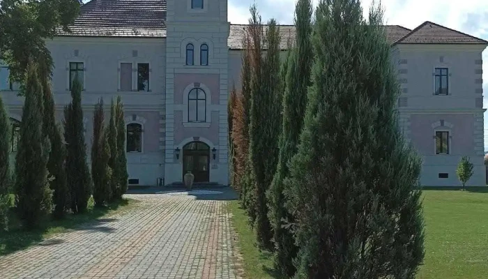 Castelul Rhedey - Vințu De Jos 517875