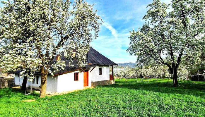 Casuta Bunicilor Corbii De Piatra -  Exterior - Corbi