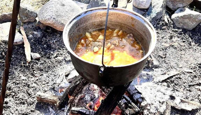Casutele Din Livada Cele Mai Recente - Corbi