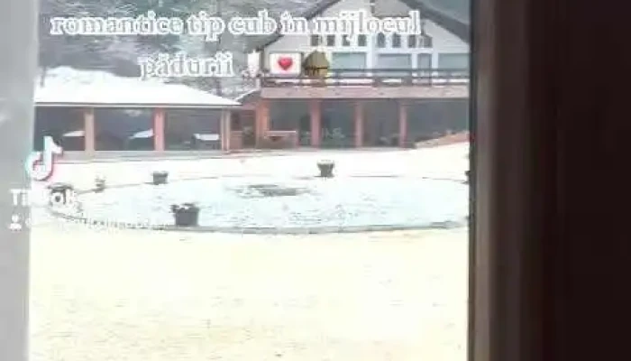 Catunul Din Podei Videoclipuri - Dragoslavele