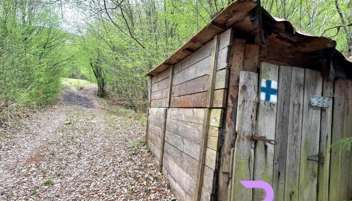 cazare Boga - Padiș - Strada Principală