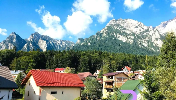 Cazare Busteni -  De La Vizitatori - Bușteni