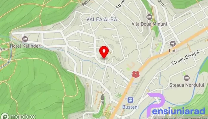 hartă a Cazare Busteni Pensiune în Bușteni