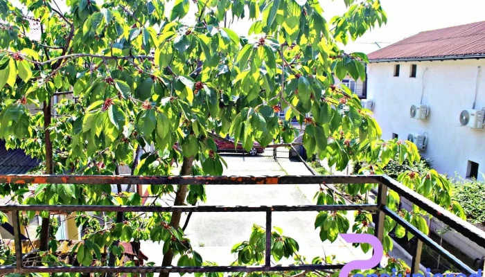 Cazare Casa Rares Costinesti -  Exterior - Costinești
