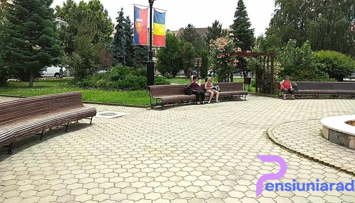 Cazare Hotel Leul De Aur Sebes -  Videoclipuri - Sebeș
