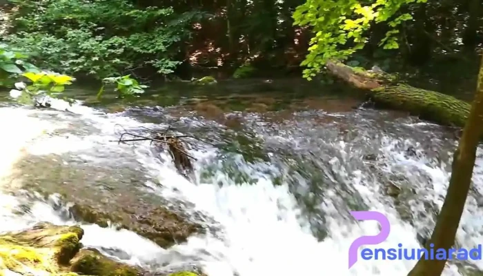 Cazare Iedera -  Videoclipuri - Sasca Montană