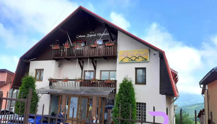 Cazare Petrosani -    Pensiunea Bujor De Munte Exterior - Petroșani