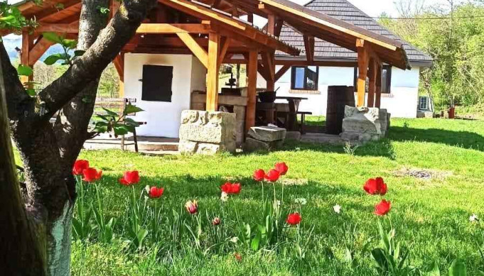 Cazare Targu Ocna -    Casa Livada Bunicii Cele Mai Recente - Târgu Ocna
