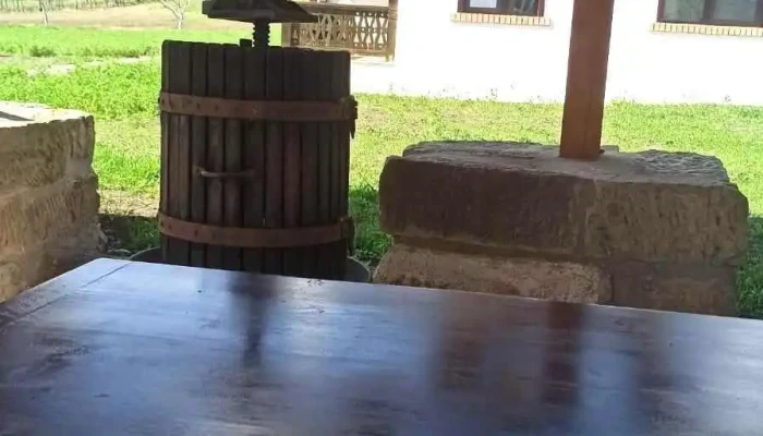 Cazare Targu Ocna -    Casa Livada Bunicii Exterior - Târgu Ocna