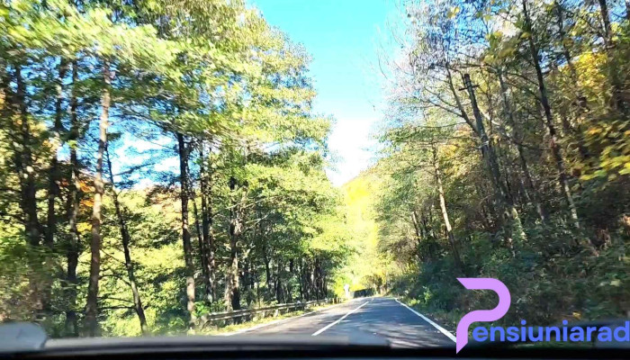 Cazare Transfagarasan   Pensiunea Iuliana Videoclipuri - Căpățânenii Pământeni
