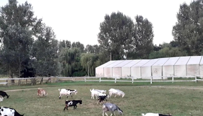 Centru De Echitatie Rr Cum Să Ajungi Acolo - Podari