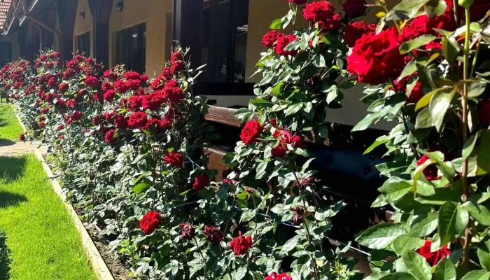 Centru Spa Agrement Victoria -  Promoție - Sculeni