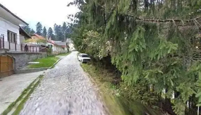 Centrul De Pregatire Pentru Personalul Din Industrie Cppi Street View Si 360deg - Bușteni