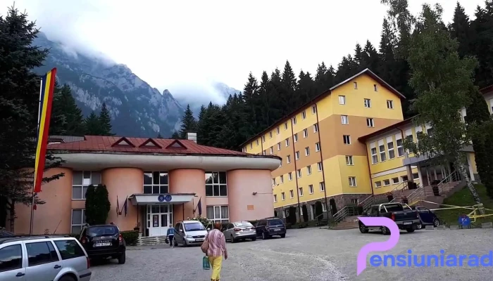 Centrul De Pregatire Pentru Personalul Din Industrie Cppi Videoclipuri - Bușteni