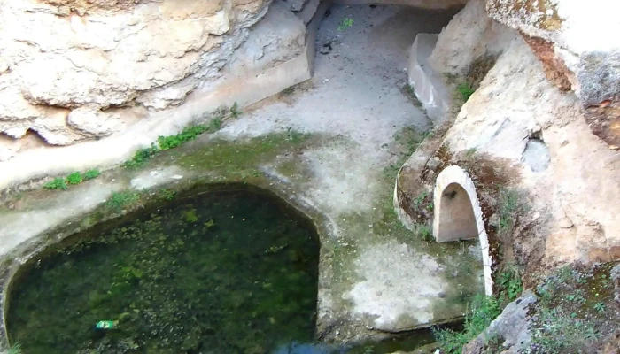 Centrul De Tineret Geoagiu -  Site Web - Geoagiu