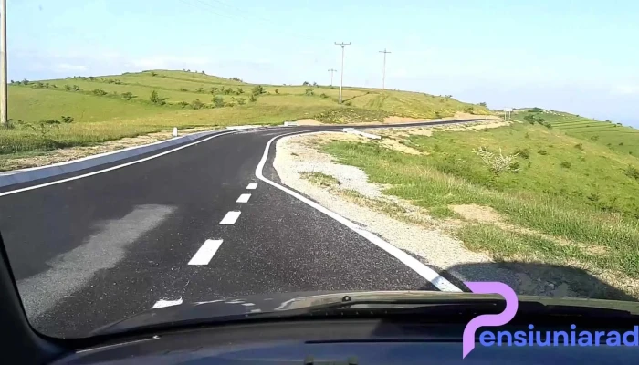 Cerbal Videoclipuri - Cerbăl
