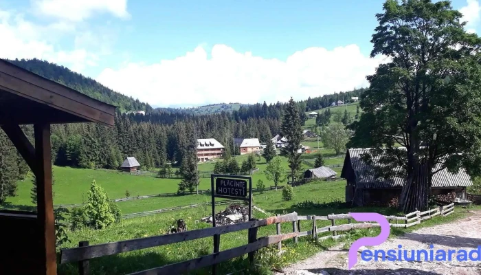 Cerbul Apusean -  De La Vizitatori - Albac