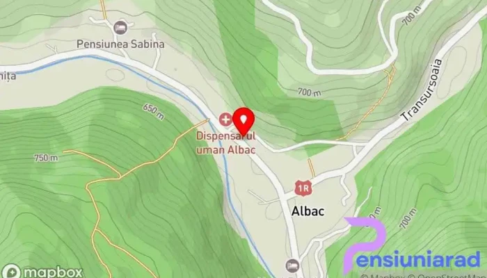 hartă a Cerbul Apusean Bed & Breakfast în Albac